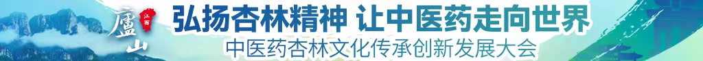 鸡巴操逼试看中医药杏林文化传承创新发展大会